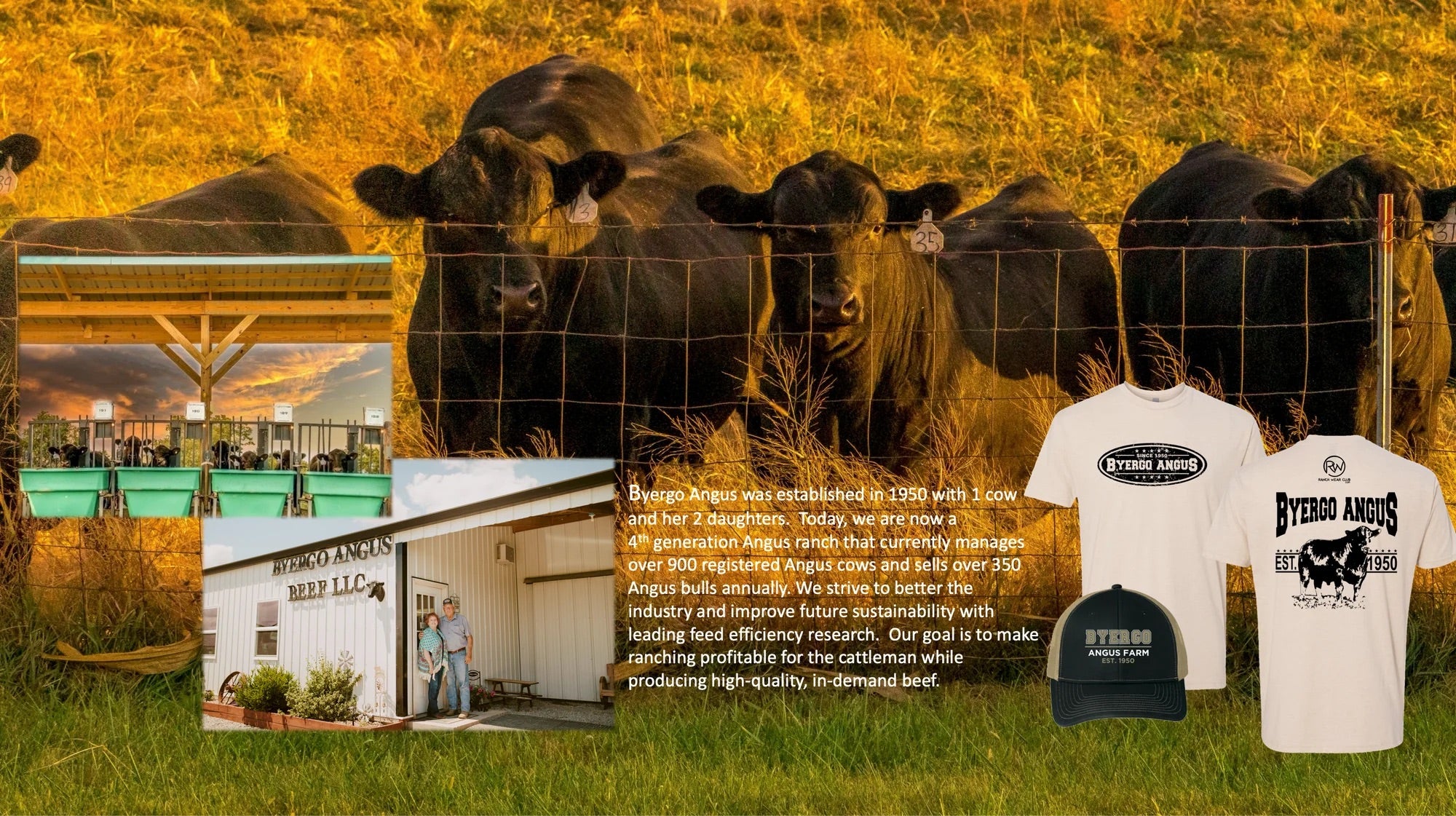 RanchWearClub