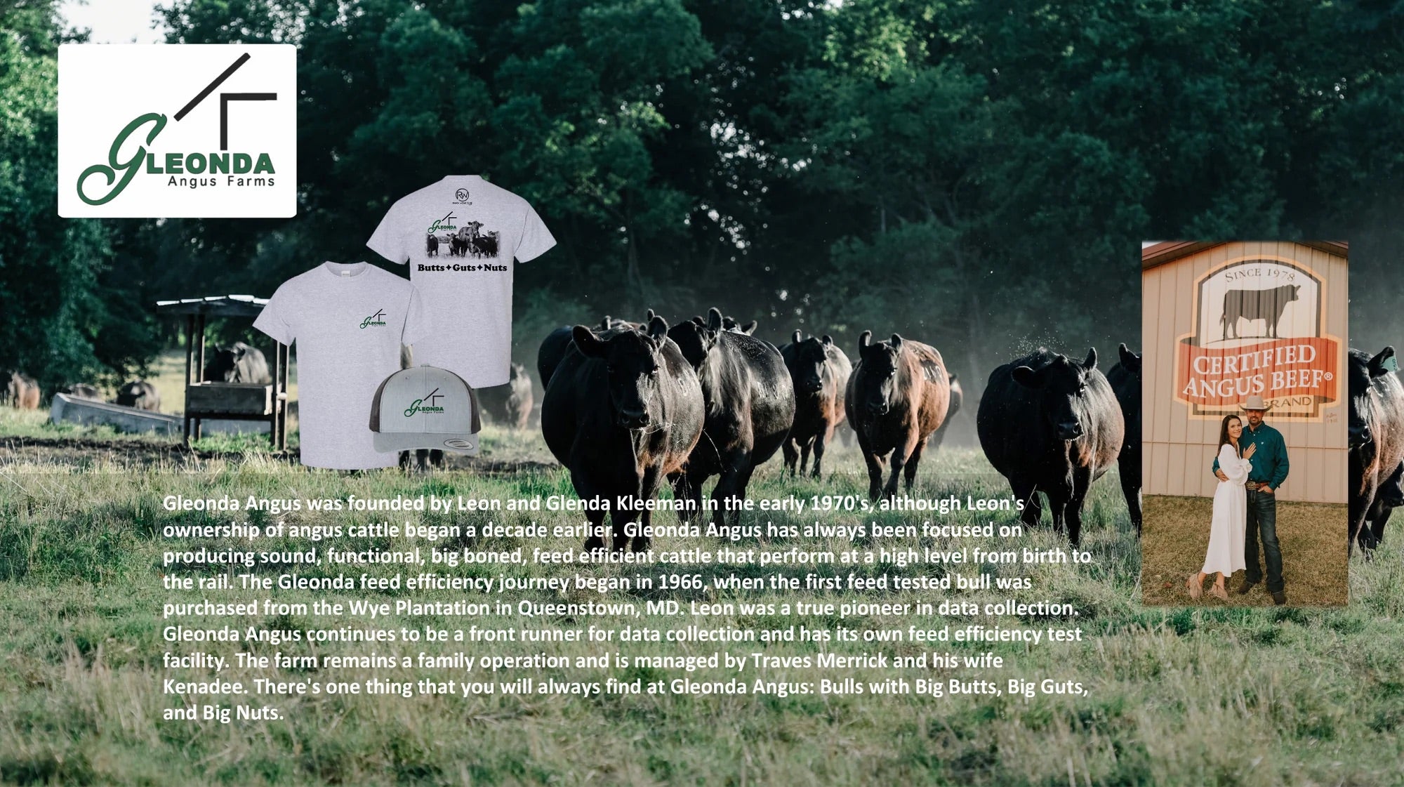 RanchWearClub