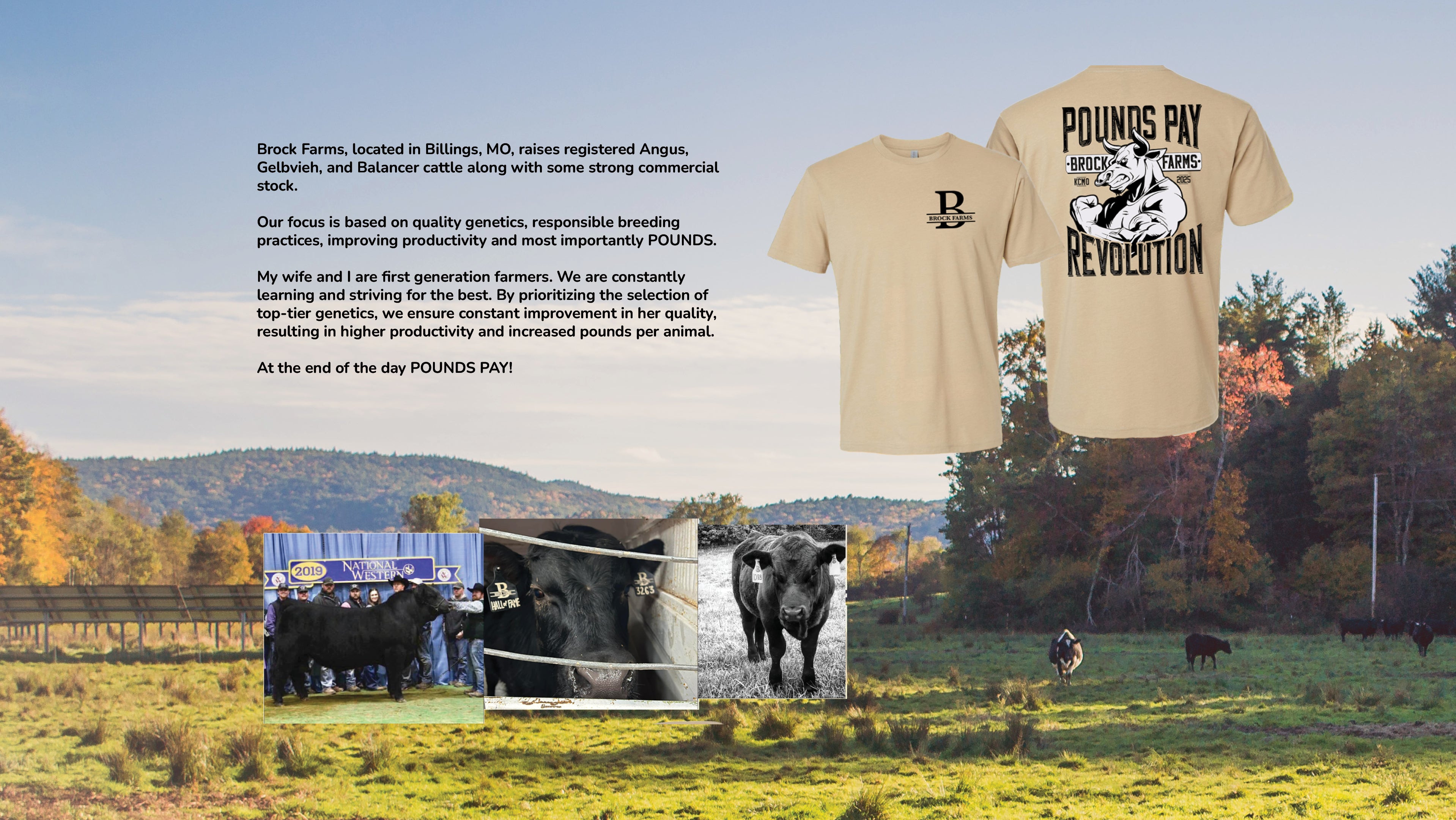 RanchWearClub